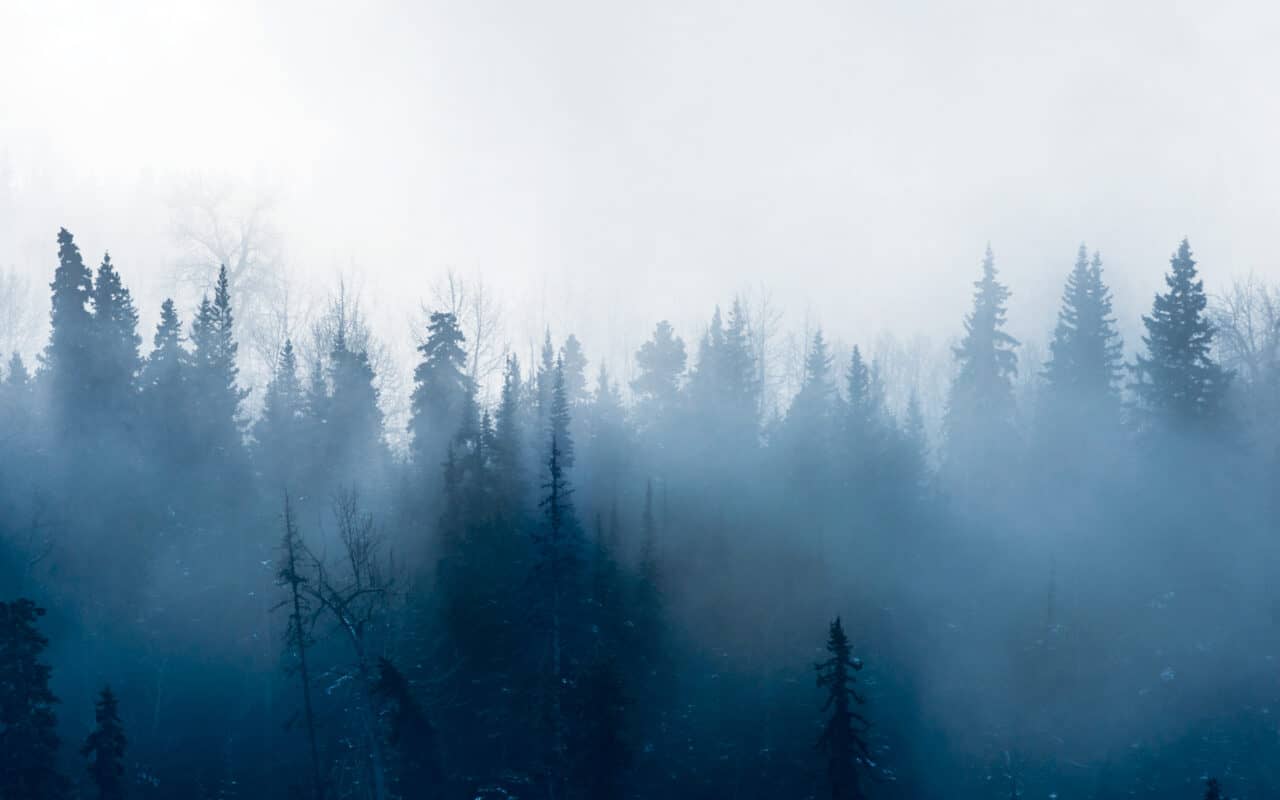 Find a Practitioner The OrthoBionomy Association of Canada